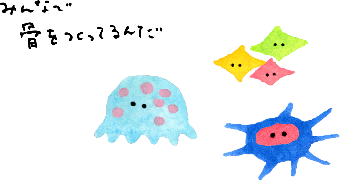 みんなで骨をつくっているんだ。